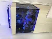 3x2 Marine aquarium full set up