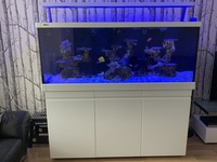 Red Sea Max S-650 White Aquarium; Complete Reef system and accessories