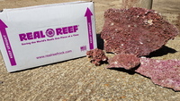 Real reef rock