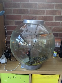 BiOrb 60 litre tank with 1 gold fish