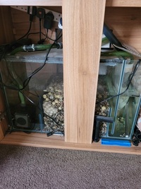 3ft Aquarium and cabinet with sump full set up £175 the lot