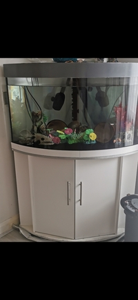 jewel 190 corner fish tank