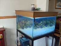 COMPLETE MARINE SET UP FULLY MATURED