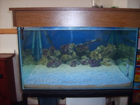 COMPLETE MARINE SET UP FULLY MATURED