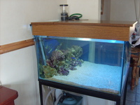COMPLETE MARINE SET UP FULLY MATURED