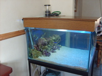 COMPLETE MARINE SET UP FULLY MATURED