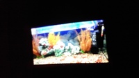 4ft Juwell aquarium for sale. £150