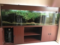 SEABRAY TANK + STAND 72 X 24 X 18 inches FOR SALE