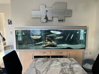Rena 6ft aquarium tank for sale stunning going cheap