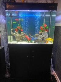 Boyu fish tank full set up £200