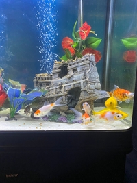 Boyu fish tank full set up £200