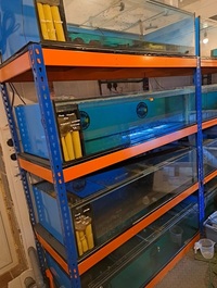 Fish Tank Aquariums