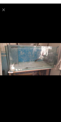 4ft X 2ft X 2ft fish tank for sale