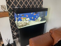 Selling Jewel 180, external filter, fish and all food and equipment