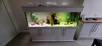 6x2x2 Aquarium set up for sale Inc fish £500