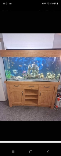 Aqua 1 fish tank