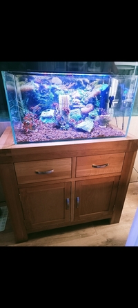 125 litre tank and solid oak stand