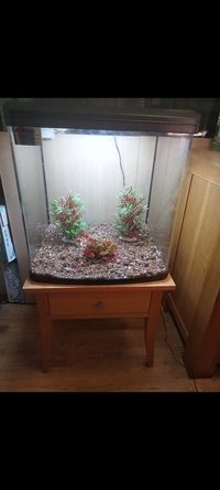 94 litre fish tank