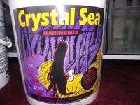 seahorses and fireshrimps for sale