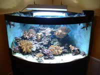 Juwel Trigon 350