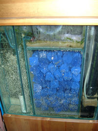 SOLID PINE 3FT CUSTOM BUILT MARINE TANK COMPLETE SETUP - A BARGAIN