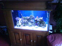 SOLID PINE 3FT CUSTOM BUILT MARINE TANK COMPLETE SETUP - A BARGAIN