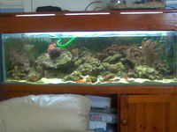 4ft marine aquarium in pine with live rock included