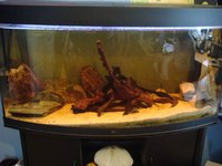 Collection of aquarium BOGWOOD for sale - nice pieces £35 quick sale