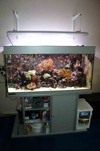 Fully Stocked Aqua Medic Percula 120 For Sale