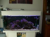 Complete tank set up