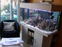 Complete tank set up