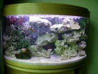 Full Marine Setup, approx 80ltrs