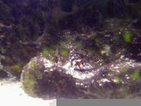 Full Marine Setup, approx 80ltrs