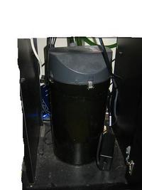 juwel rio 240 litre full tropical set-up + fish