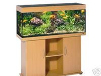 juwel rio 240 litre full tropical set-up + fish