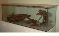 fish tank and accessories