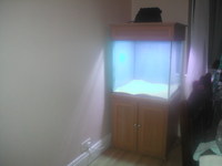 marine tank, filters, cabinet,halide etc