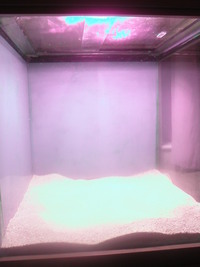 marine tank, filters, cabinet,halide etc
