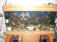 COMPLETE MARINE SET UP
