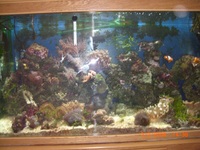 COMPLETE MARINE SET UP