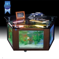 Stylish Coffee Table Aquariums