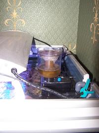 Complete Easy to Maintain Marine Tank Set-up