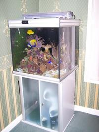 Complete Easy to Maintain Marine Tank Set-up