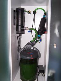Complete Easy to Maintain Marine Tank Set-up