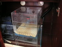 MARINE FISH TANK :SOLD:
