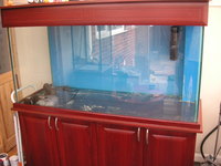 MARINE FISH TANK :SOLD: