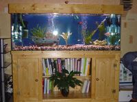 Pine aquarium Cabinets and lid made to order.