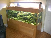 6ft Marine Aquarium c/w Metal Halide Lighting