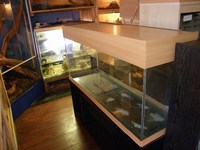 Clearance sale of second hand Aquariums stand and equipment .