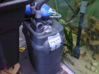 FOR SALE 2 x 2ft square glass aquariums and filters etc
